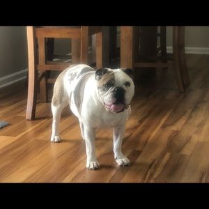 Meet your Posher, Catherine